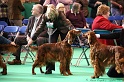 Crufts2011 006